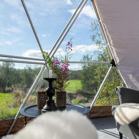 טרומסה Aera - Glass Cabins מראה חיצוני תמונה